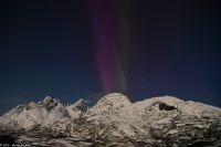 Seltenes lila Polarlicht im magischen Trollfjord (Lofoten)