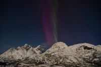 Seltenes lila Polarlicht im magischen Trollfjord (Lofoten)