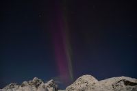 Seltenes lila Polarlicht im magischen Trollfjord (Lofoten)