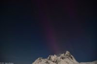 Seltenes lila Polarlicht im magischen Trollfjord (Lofoten)