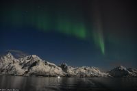 Polarlicht über den Lofoten (Nordland)