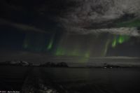 Polarlicht über den Lofoten und dem Vestfjord (Nordland)