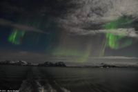 Polarlicht über den Lofoten und dem Vestfjord (Nordland)