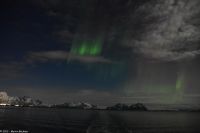 Polarlicht über den Lofoten und dem Vestfjord (Nordland)
