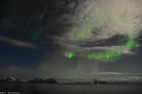 Polarlicht über den Lofoten und dem Vestfjord (Nordland)