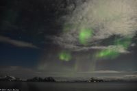 Polarlicht über den Lofoten und dem Vestfjord (Nordland)