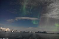 Polarlicht über den Lofoten und dem Vestfjord (Nordland)