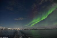 Polarlicht über den Lofoten und dem Vestfjord (Nordland)