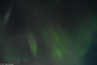 Polarlicht über den Lofoten und dem Vestfjord (Nordland) 