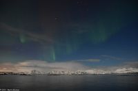 Polarlicht über den Lofoten und dem Vestfjord (Nordland)