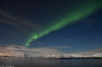 Polarlicht über den Lofoten und dem Vestfjord (Nordland)