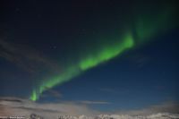 Polarlicht über den Lofoten und dem Vestfjord (Nordland)