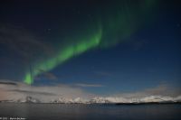 Polarlicht über den Lofoten und dem Vestfjord (Nordland)