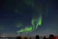 Polarlicht über den Lofoten und dem Vestfjord (Nordland)