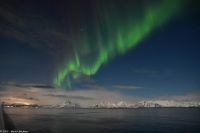 Polarlicht über den Lofoten und dem Vestfjord (Nordland)