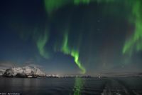 Polarlicht über den Lofoten und dem Vestfjord (Nordland)