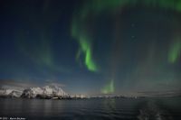Polarlicht über den Lofoten und dem Vestfjord (Nordland)