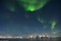 Polarlicht über den Lofoten und dem Vestfjord (Nordland)