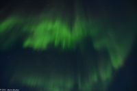 Polarlicht über den Lofoten und dem Vestfjord (Nordland)