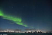 Polarlicht über den Lofoten und dem Vestfjord (Nordland)