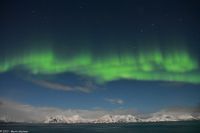 Polarlicht über den Lofoten und dem Vestfjord (Nordland)