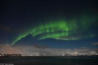 Polarlicht über den Lofoten und dem Vestfjord (Nordland)