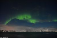 Polarlicht über den Lofoten und dem Vestfjord (Nordland)
