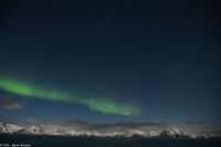 Polarlicht über den Lofoten und dem Vestfjord (Nordland)