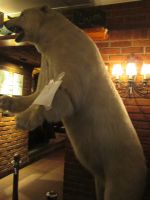 Tromsø: Mack Ølhallen ; Eisbär