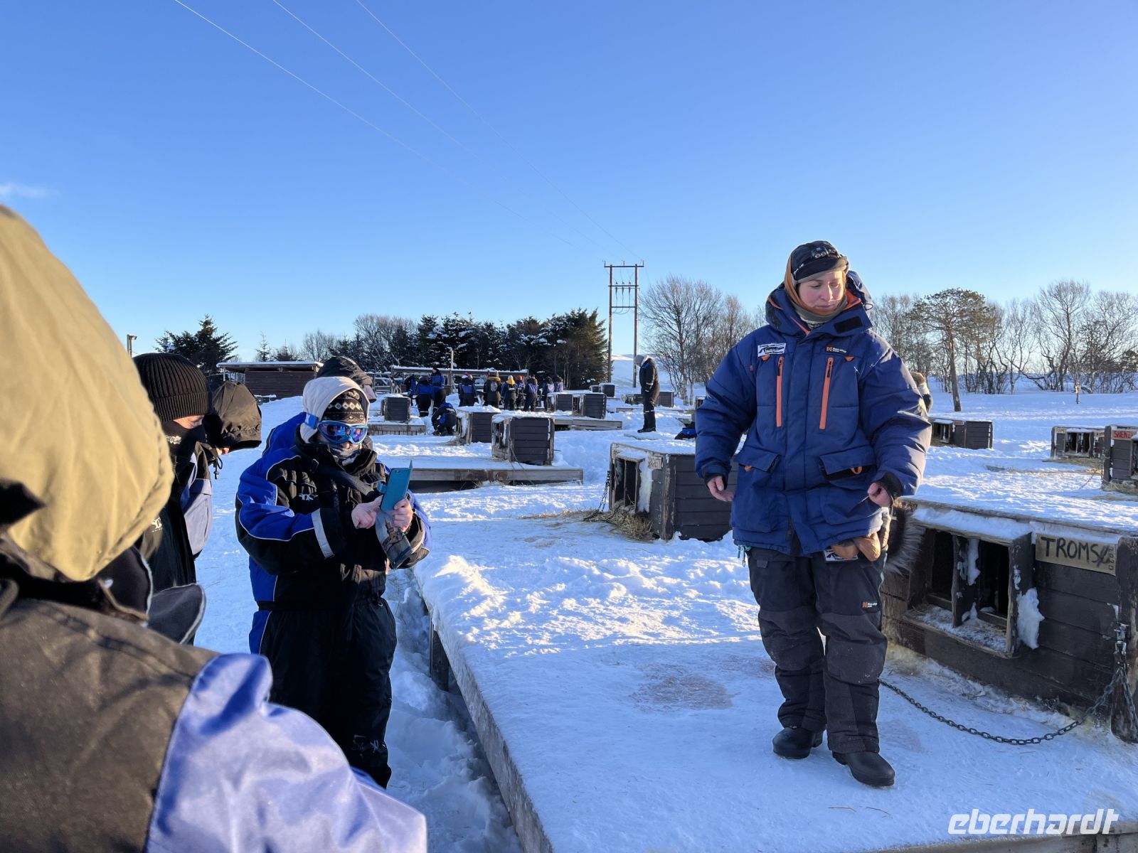 Briefing zu den Hunden