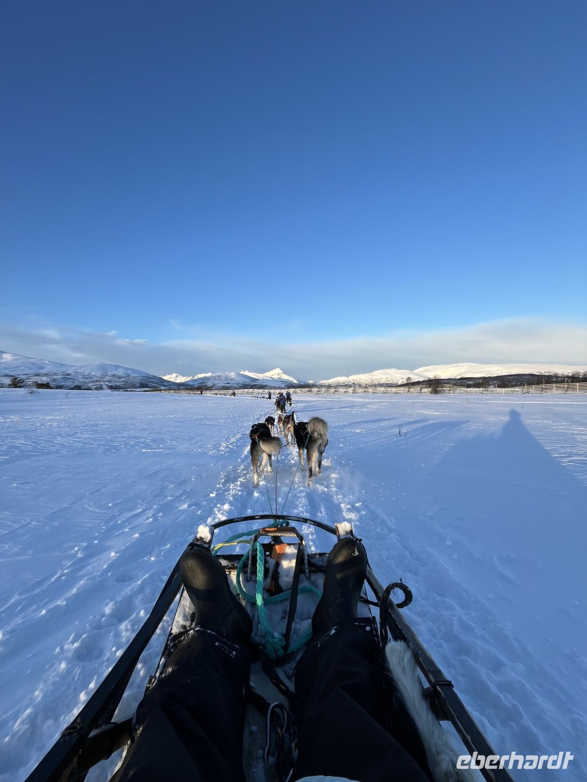 Husky-Schlittenfahrt