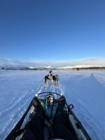 Husky-Schlittenfahrt