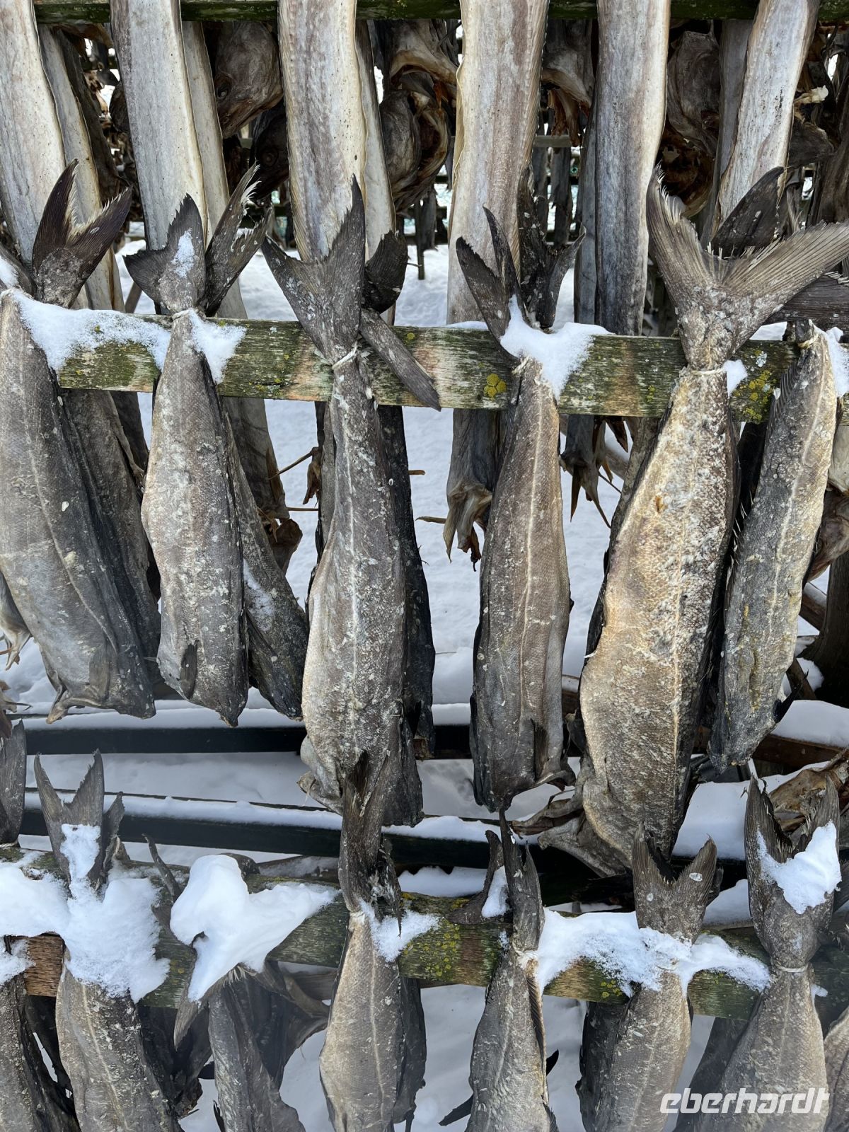 Getrockneter Kabeljau