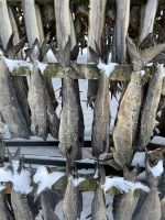 Getrockneter Kabeljau