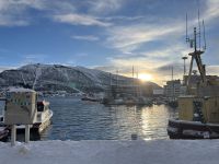 Der Hafen von Tromsø