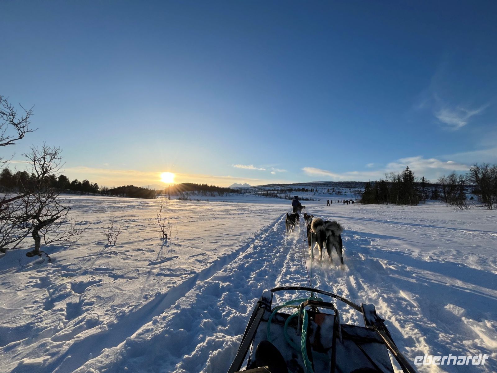Husky-Schlittenfahrt