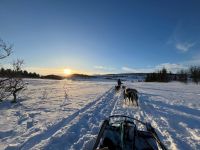 Husky-Schlittenfahrt