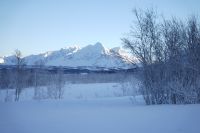 Blick auf die Lyngenalpen