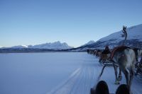 Rentierschlittenfahrt Richtung Lyngenalpen