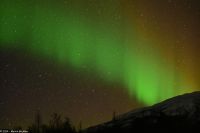 Nordlicht - Polarlicht - Aurora Borealis