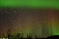 Nordlicht - Polarlicht - Aurora Borealis