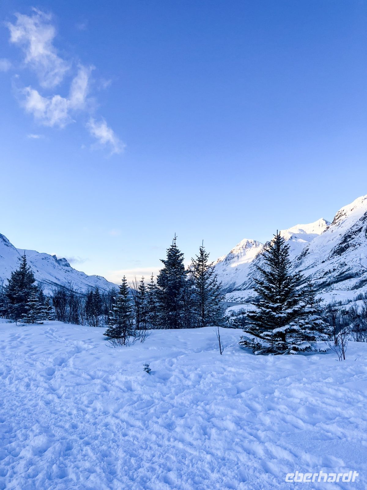Stadtrundfahrt in Tromsö und Umgebung