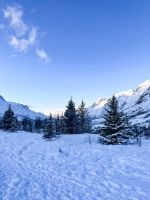 Stadtrundfahrt in Tromsö und Umgebung