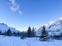 Stadtrundfahrt in Tromsö und Umgebung