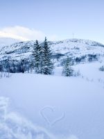 Stadtrundfahrt in Tromsö und Umgebung