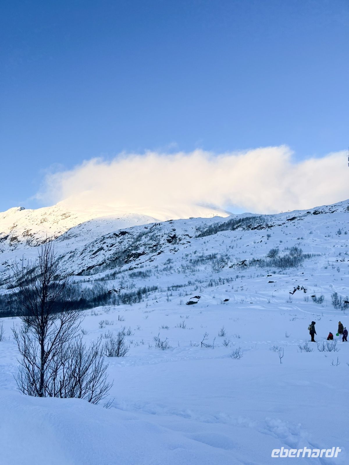 Stadtrundfahrt in Tromsö und Umgebung Fotostopp