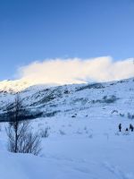 Stadtrundfahrt in Tromsö und Umgebung Fotostopp