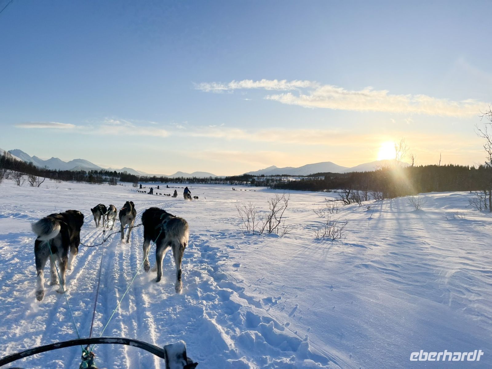 Husky-Hundeschlittenfahrt auf Kvaloya