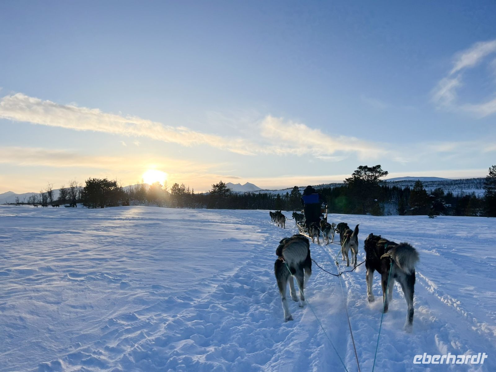 Husky-Hundeschlittenfahrt auf Kvaloya