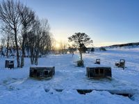 Husky Camp auf Kvaloya